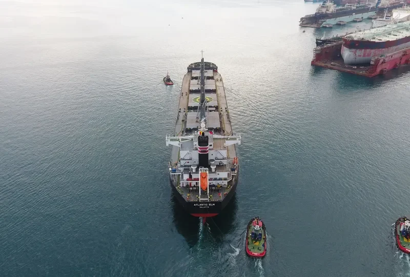 ATLANTIC ELM Bulk Carrier IMO 9558244 photo 9