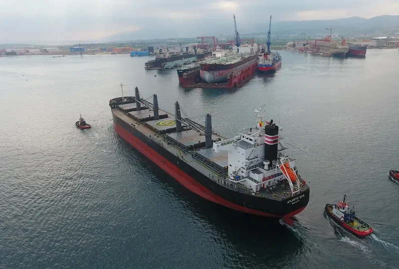 ATLANTIC ELM Bulk Carrier IMO 9558244 photo 10