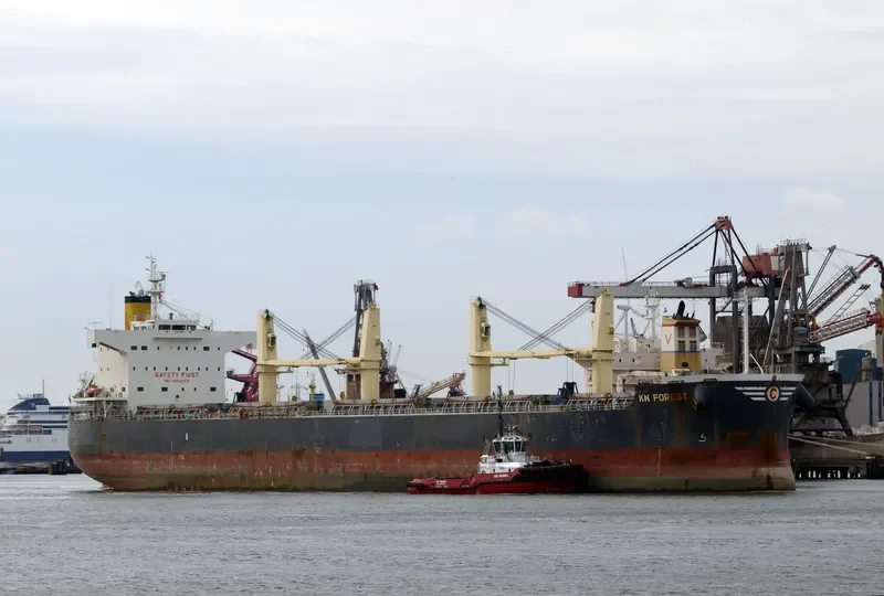 KN FOREST Bulk Carrier IMO 9558268 photo 2