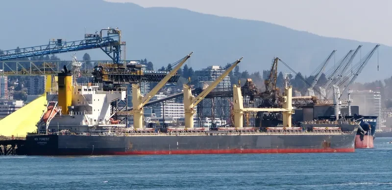 KN FOREST Bulk Carrier IMO 9558268 photo 5