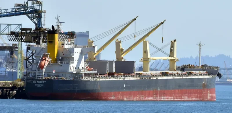 KN FOREST Bulk Carrier IMO 9558268 photo 6