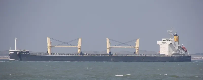 KN FUTURE Bulk Carrier IMO 9558270 photo 10