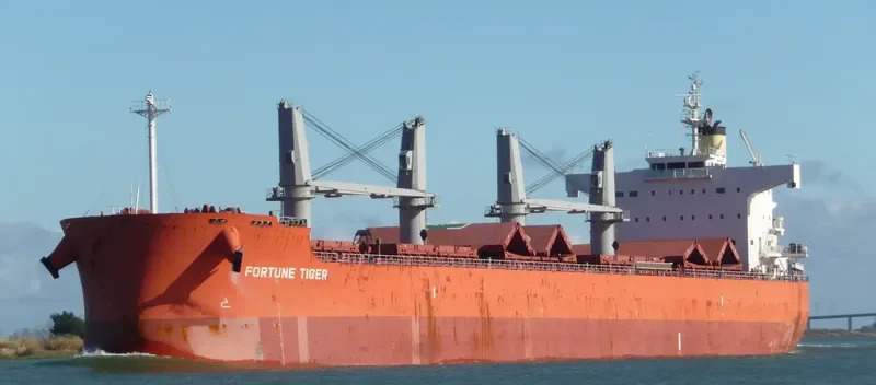 FORTUNE TIGER Bulk Carrier IMO 9558282 photo 3