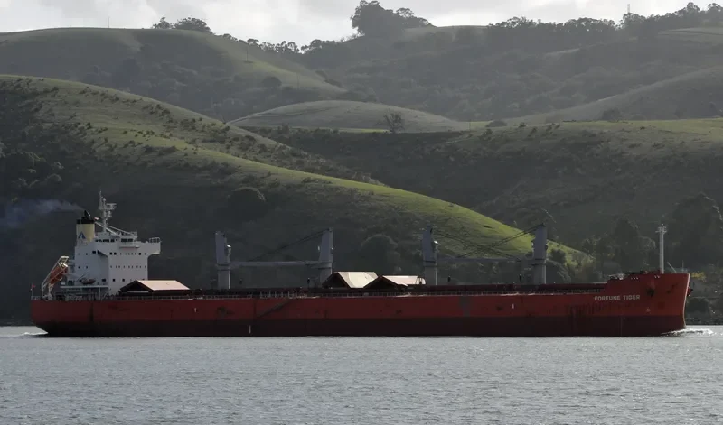FORTUNE TIGER Bulk Carrier IMO 9558282 photo 5