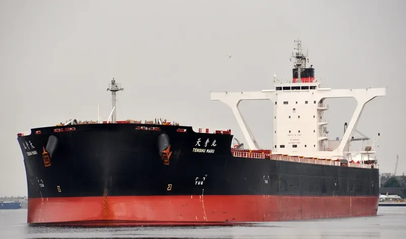 BERGE NYANGANI Bulk Carrier IMO 9558294