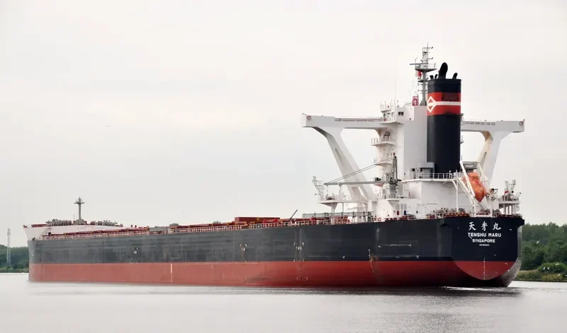 BERGE NYANGANI Bulk Carrier IMO 9558294 photo 2
