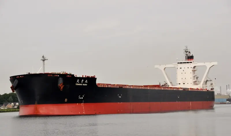 BERGE NYANGANI Bulk Carrier IMO 9558294 photo 3