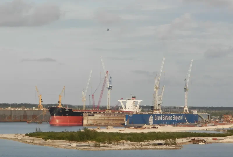 BERGE NYANGANI Bulk Carrier IMO 9558294 photo 4
