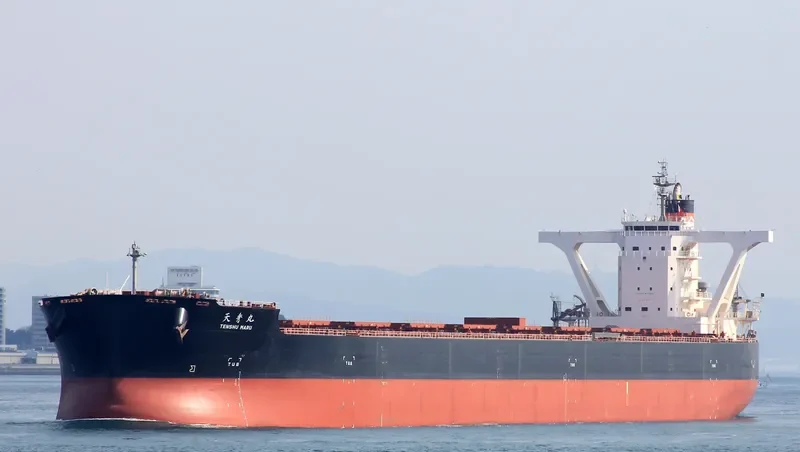 BERGE NYANGANI Bulk Carrier IMO 9558294 photo 10