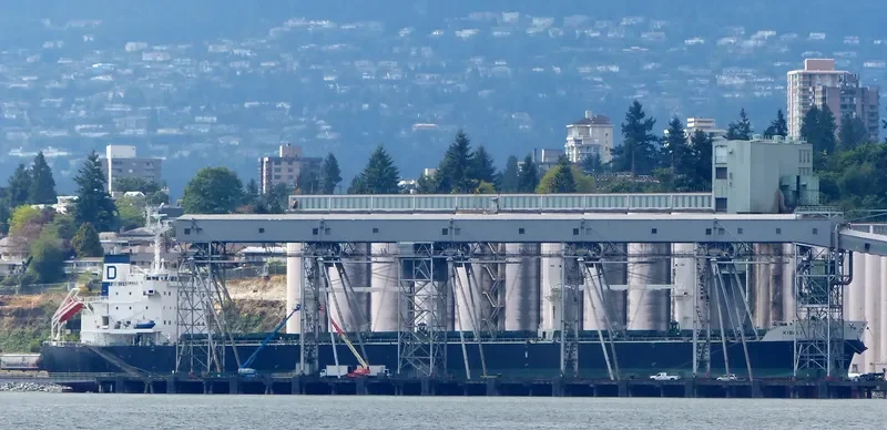 KIBALI Bulk Carrier IMO 9558696 photo 3