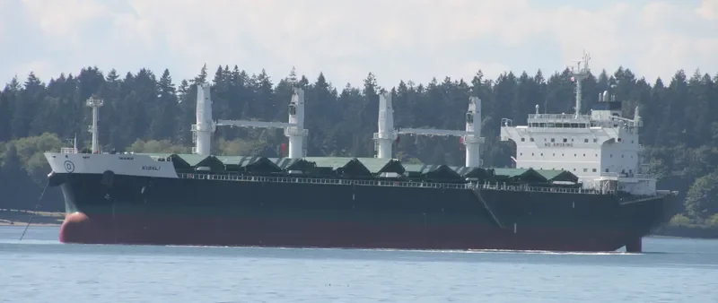 KIBALI Bulk Carrier IMO 9558696 photo 10