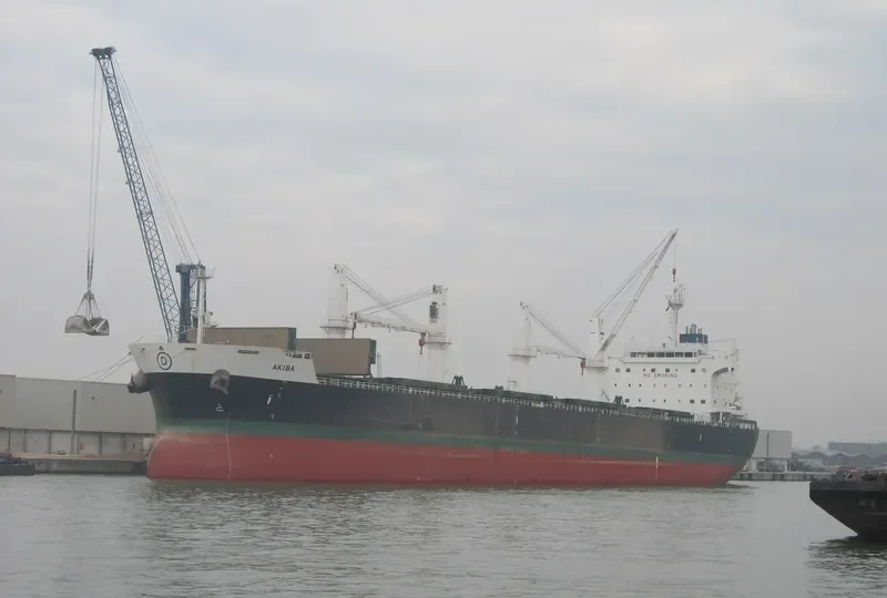 NOZOMI Bulk Carrier IMO 9558701 photo 4