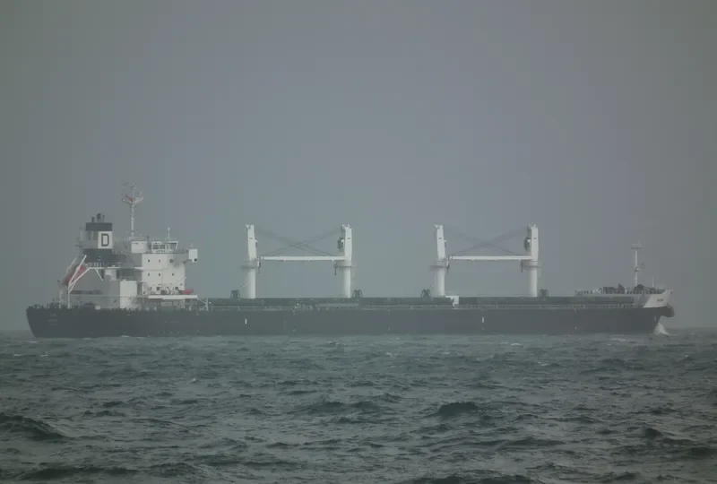 NOZOMI Bulk Carrier IMO 9558701 photo 6