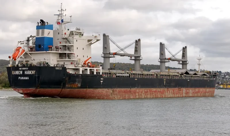 RAINBOW HARMONY Bulk Carrier IMO 9558737 photo 2