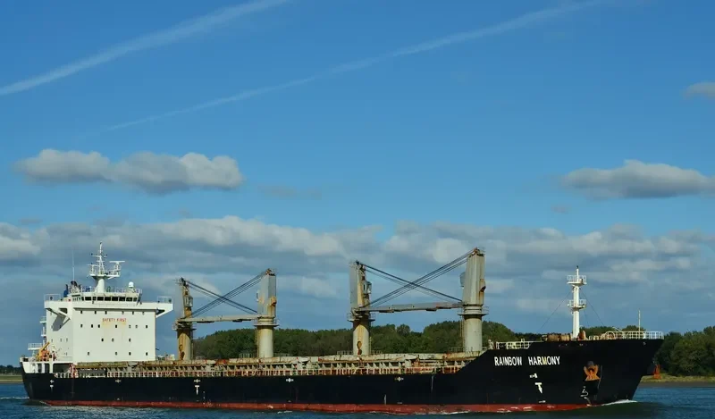 RAINBOW HARMONY Bulk Carrier IMO 9558737 photo 10