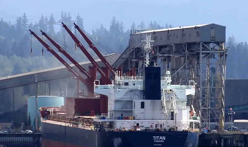 TITAN II Bulk Carrier IMO 9558907