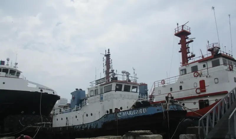 AZ MARIGOLD General Cargo IMO 9558933