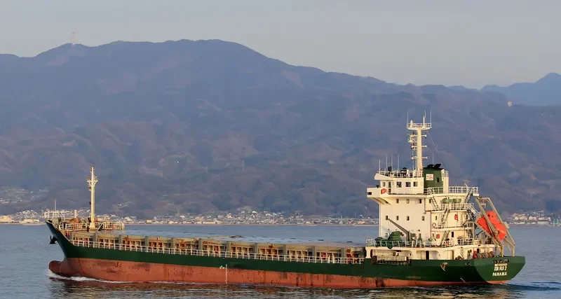 XIN RUI 2 General Cargo IMO 9559420 photo 2