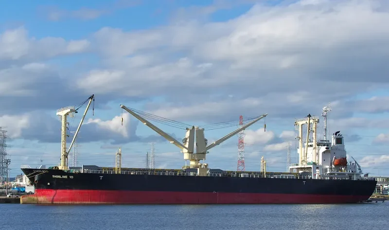 SHINLINE 10 General Cargo IMO 9559470