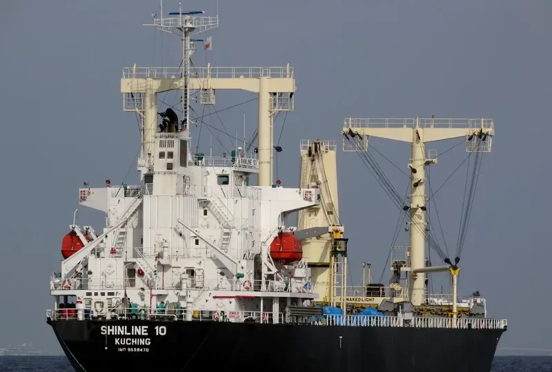 SHINLINE 10 General Cargo IMO 9559470 photo 3