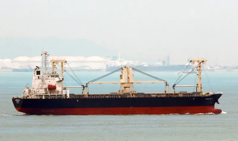 SHINLINE 10 General Cargo IMO 9559470 photo 5
