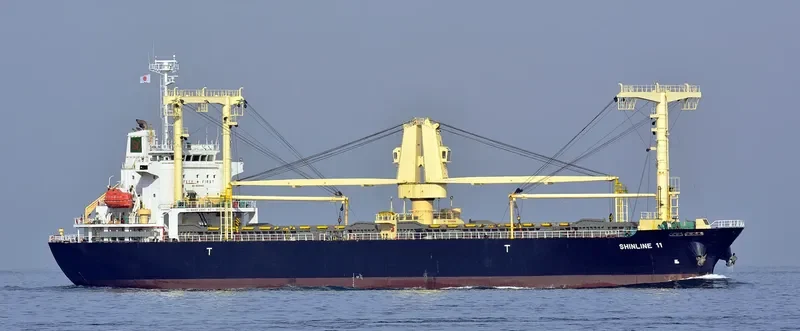 SHINLINE 11 General Cargo IMO 9559482 photo 3