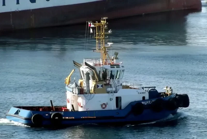 PUYEHUE General Cargo IMO 9559509