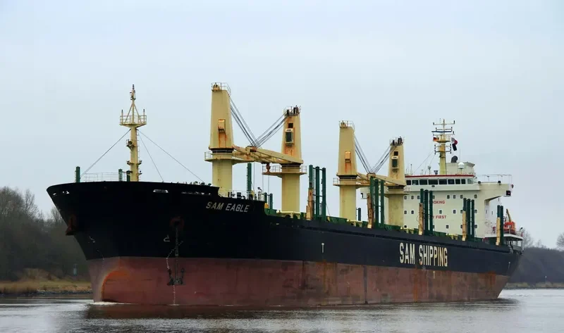 LILA HOUSTON Bulk Carrier IMO 9559676 photo 7