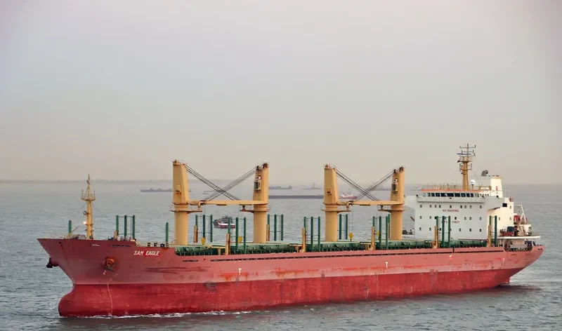 LILA HOUSTON Bulk Carrier IMO 9559676 photo 13
