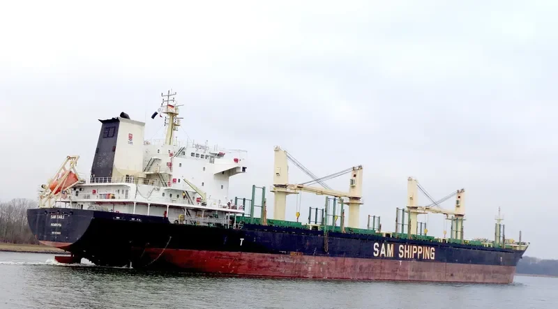 LILA HOUSTON Bulk Carrier IMO 9559676 photo 31