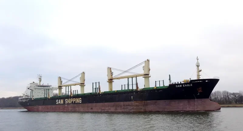 LILA HOUSTON Bulk Carrier IMO 9559676 photo 44