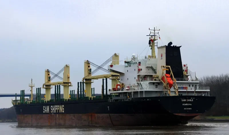 LILA HOUSTON Bulk Carrier IMO 9559676 photo 49