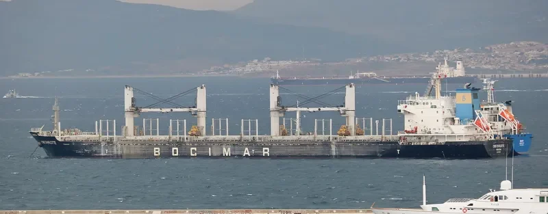 EMIL SELMER Bulk Carrier IMO 9559705