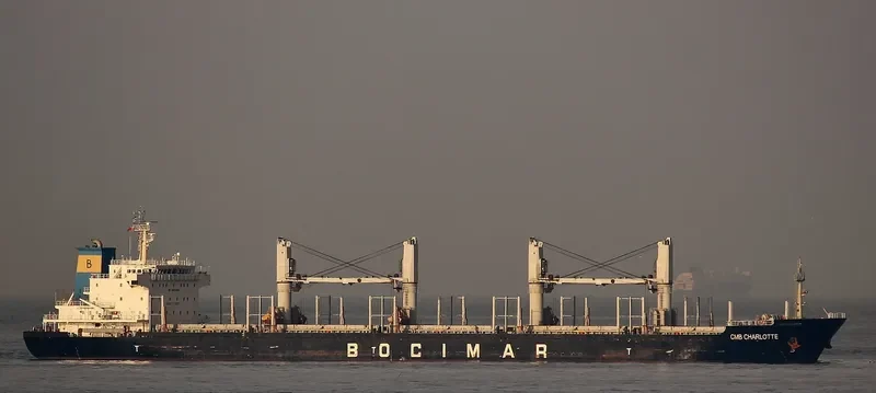 EMIL SELMER Bulk Carrier IMO 9559705 photo 2