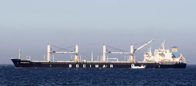 EMIL SELMER Bulk Carrier IMO 9559705 photo 3