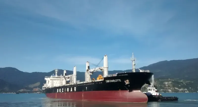 EMIL SELMER Bulk Carrier IMO 9559705 photo 6