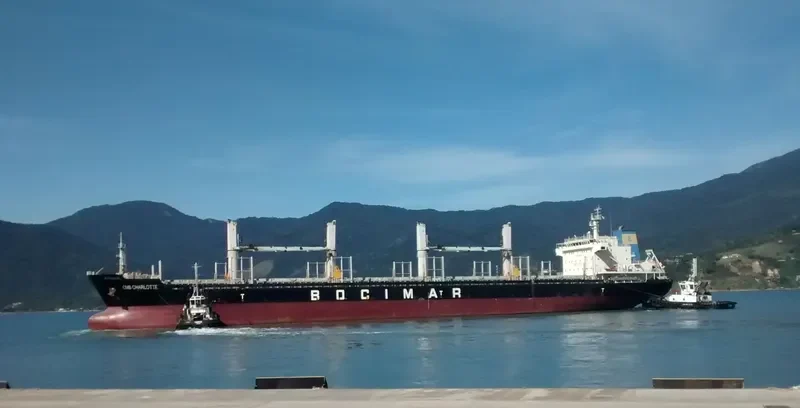 EMIL SELMER Bulk Carrier IMO 9559705 photo 7