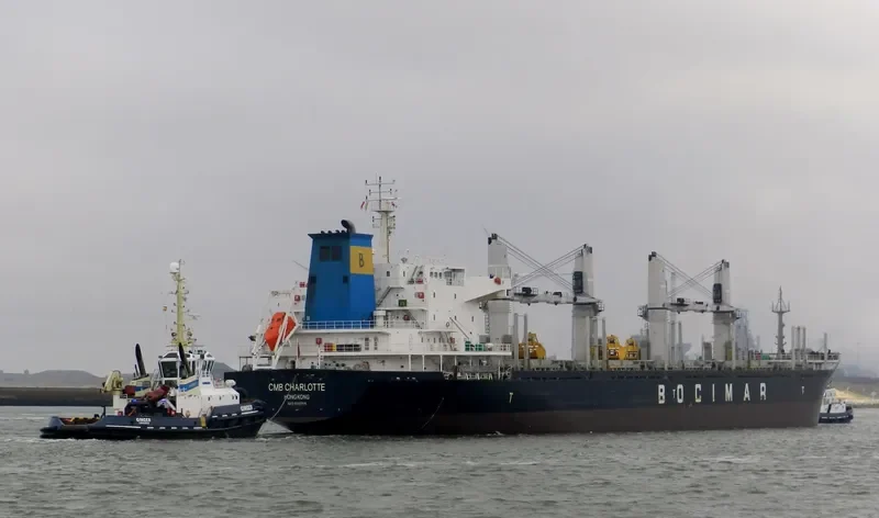 EMIL SELMER Bulk Carrier IMO 9559705 photo 9