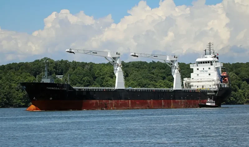 UNISTAR General Cargo IMO 9559901 photo 8