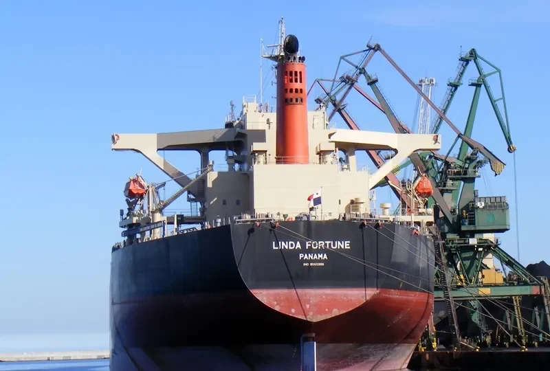 LINDA FORTUNE Bulk Carrier IMO 9560388 photo 9