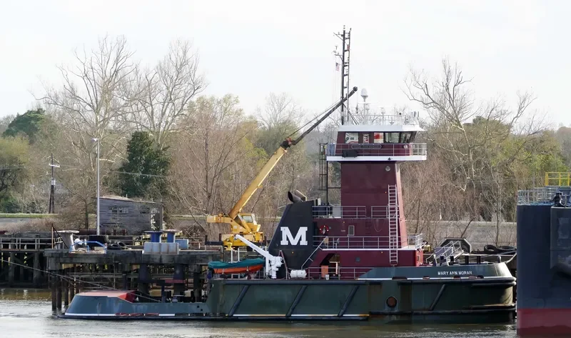 MARY ANN MORAN General Cargo IMO 9560534