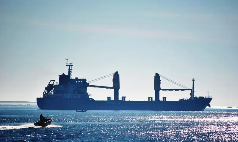RIO CONGUE Bulk Carrier IMO 9560730 photo 2