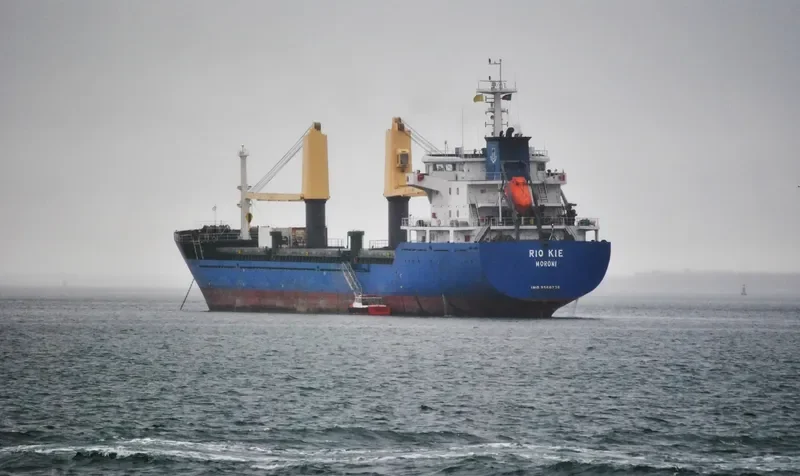 RIO CONGUE Bulk Carrier IMO 9560730 photo 3