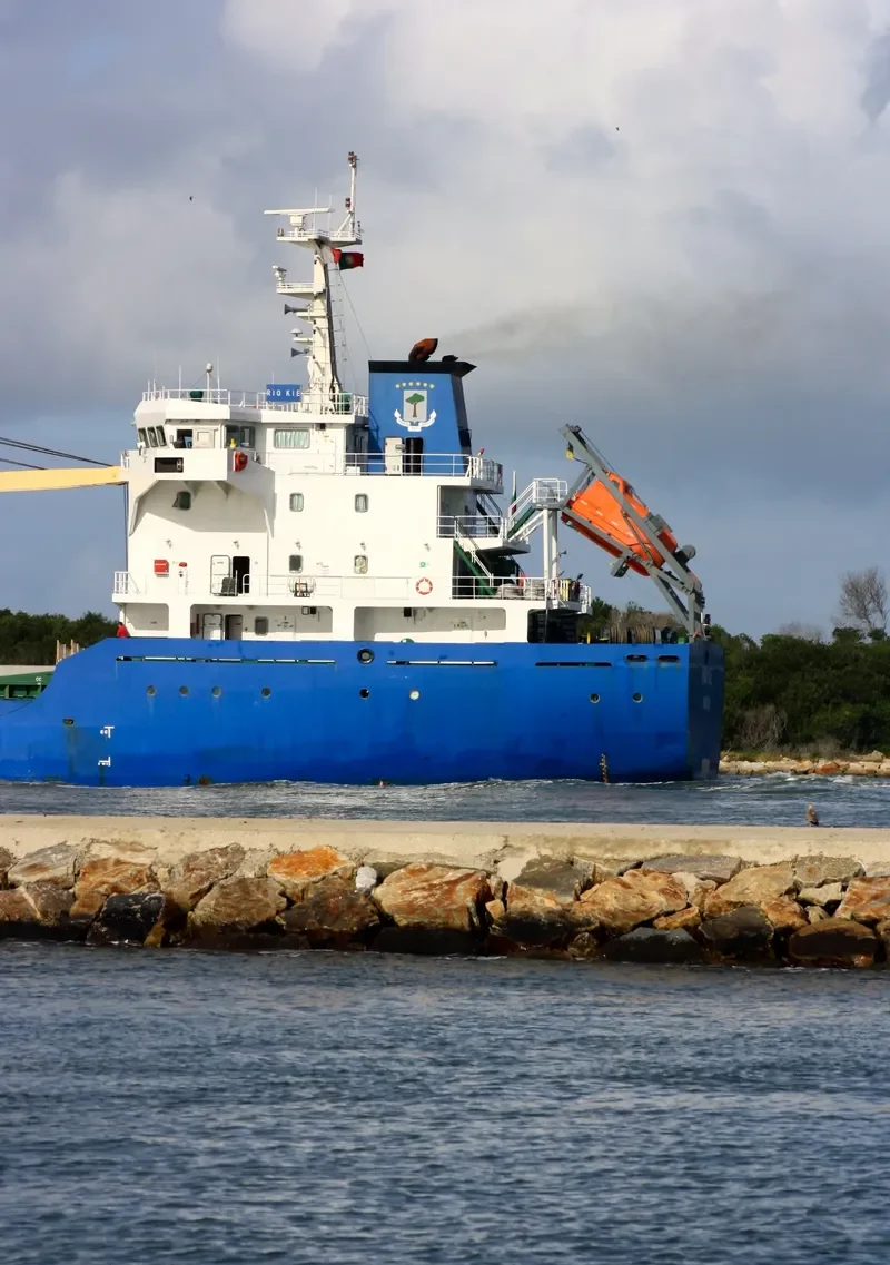 RIO CONGUE Bulk Carrier IMO 9560730 photo 6