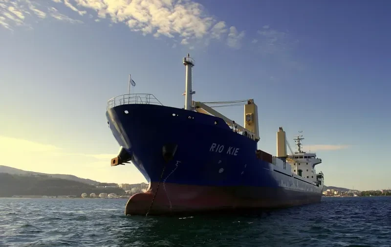 RIO CONGUE Bulk Carrier IMO 9560730 photo 8