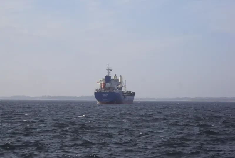 RIO CONGUE Bulk Carrier IMO 9560730 photo 10