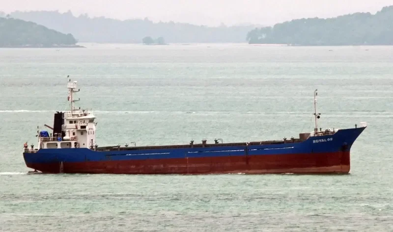 ROYAL 09 Bulk Carrier IMO 9560807 photo 4