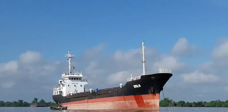 ROYAL 06 Bulk Carrier IMO 9560819 photo 2
