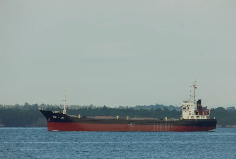 ROYAL 06 Bulk Carrier IMO 9560819 photo 4