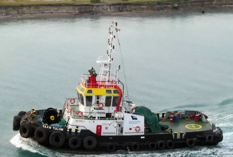 SAAM TULUM General Cargo IMO 9561291 photo 2